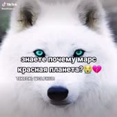 540x540