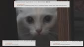 1280x720