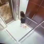 360x360