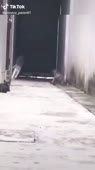 540x960