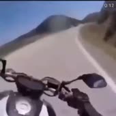 460x460