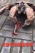 360x544