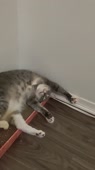 608x1080