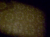 480x360