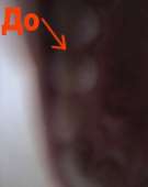640x801