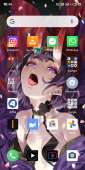 1080x2160