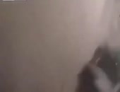470x360