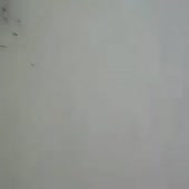 400x400