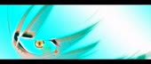 1130x480
