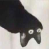 422x422