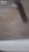 544x960