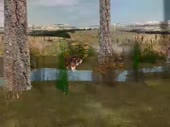 480x360