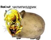 960x762