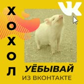 720x720