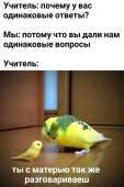 722x1080