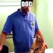 360x360