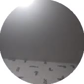 240x240