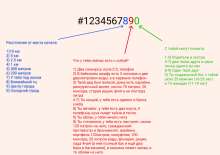 1006x711