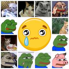 1000x1000