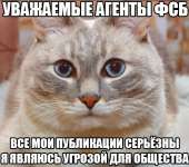 547x484