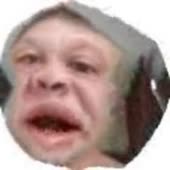 240x240