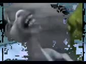 480x360
