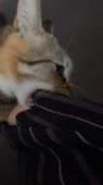 540x960