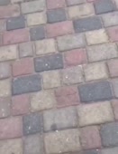 496x640