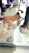 360x640