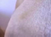 480x350