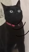 576x1024
