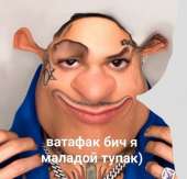 800x770