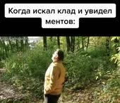 540x466