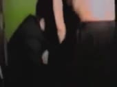 320x240