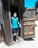 288x360