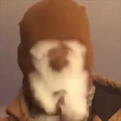 360x360