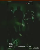 288x360