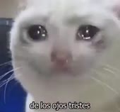 400x372