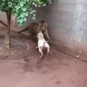 360x360