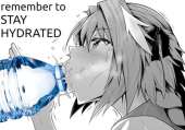 460x323