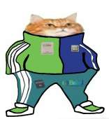 890x968