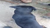 640x360