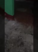 270x360