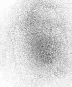 206x245