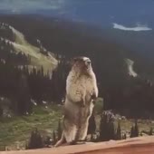 360x360
