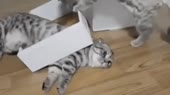 320x180