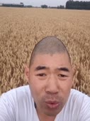 576x768