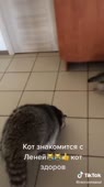 540x960