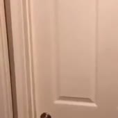 360x360