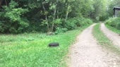 640x360